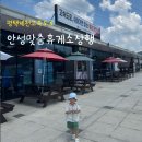 안성맞춤(제천) | 평택제천고속도로 상행 안성맞춤휴게소 평택방향 푸드코트 후기