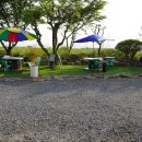 백번가 코다리 이미지