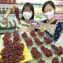 일조유통 이미지