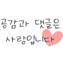 하운드 송정 이미지