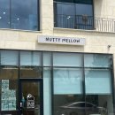 NUTTY MELLOW | 평택 용죽 카페 '너티멜로우' 생크림 주문제작 케이크 맛집 추천