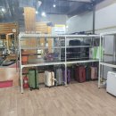 스파렉스 이미지