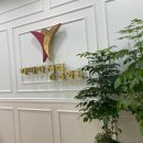 그랜드성형외과의원 네이버블로그