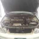 월드카젠 이미지