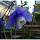 까치울역 2번 출구 이미지