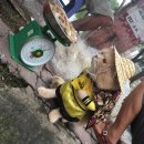 생선파는 고양이 이미지