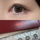 희승이네 | 여쿨 브라운 렌즈 추천: 희승 렌즈로 유명한 클라셋 원데이 신규 3종 후기(+착샷)