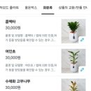 언덕배기꽃식물원 이미지