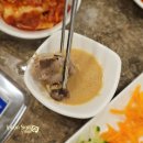 대전 샤브샤브 맛집 샤브쌈주머니 오정점! 소고기샤브·월남쌈 조합이 이렇게 맛있을 줄이야~