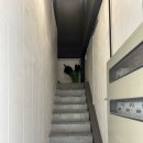 버블버블 충장로점 | [광주두피케어] 라두피에서 염증케어받은 후기