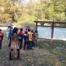 김재로묘 이미지