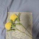 뽀댕뽀댕 이미지