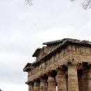 신전농장 이미지