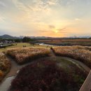 원수산 생태공원 공원입구 | 서울 근교 가을여행지 추천｜시흥갯골생태공원 억새밭 데이트코스