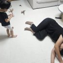 다올실업 이미지