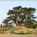 1코스 2구간 이미지