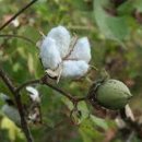 (주)황성산업 네이버블로그