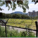 동백호수공원 이미지