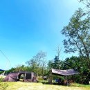 구례포 야영장 이미지