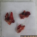 주동물병원 이미지