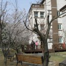 아젤리아 펜션 이미지