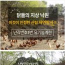 청오농장 이미지
