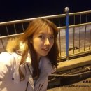 렉스텔 이미지