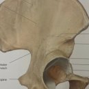 골프존파크 초월 킹스크린 이미지