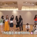 루시패션