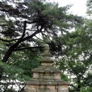 도리사로 이미지