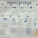 신나라투어 이미지
