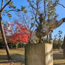 돈키호테-무식한 소 이미지