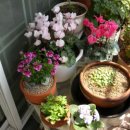 햇살정원 이미지