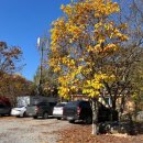 초이스쉼터 이미지