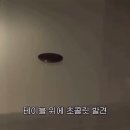 호시타코야끼 - 남동구 논고개로 101 | 호시타코야끼