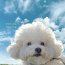 해피 이미지