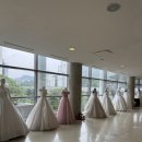 보니타스튜디오