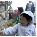 주성목장 이미지