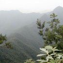 정선 고고산~완택산