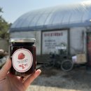 방글농장 | [공지] 서울근교 딸기체험 추천 양수리 딸기체험농장 무한시식+ 수확체험 솔직후기/ 26년 2월 주말방문