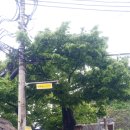 약수슈퍼 이미지