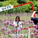 금마늘마을 이미지