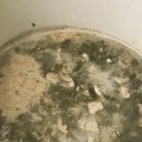 초코메디칼 이미지