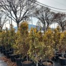 목천농장 이미지