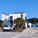 드레피인 이미지