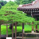 최씨 제실 옆 이미지