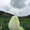 농장사람들식당 이미지