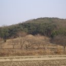 청송심씨 묘역 이미지