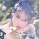 트렌드블루랩