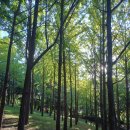 희망공원 배드민턴장 이미지